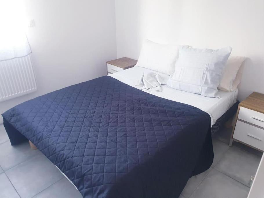 Grand Appartement, 2 Ou 3 Ou 4 Pieces, Tramway Sur Place, Proche Gare Sncf St Augustin 5 Min, Aeroport A 7 Min, Ou Allianz Riviera 10 Min, Palais Nikaia 2 Min , Supermarche Sur Place, Parking Possible Si Disponible Ou Payant A 1000 Metre Appartement *